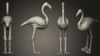 3D model Realistic Flamingo (STL)